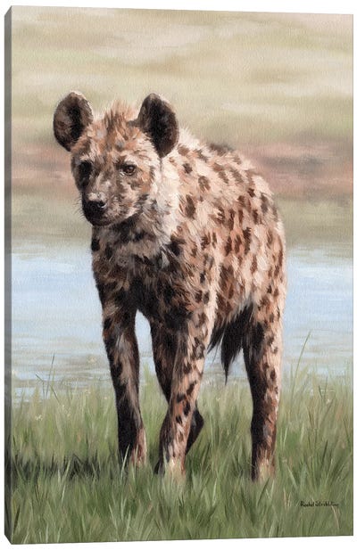 Hyena Canvas Art Print - Rachel Stribbling