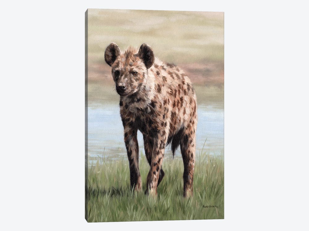 Hyena by Rachel Stribbling 1-piece Canvas Art