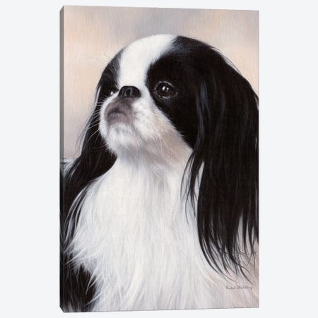 Japanese Chin Dog Portrait Canvas Print #SLG24} by Rachel Stribbling Canvas Print