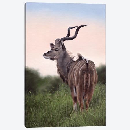 Kudu Canvas Print #SLG25} by Rachel Stribbling Canvas Art Print