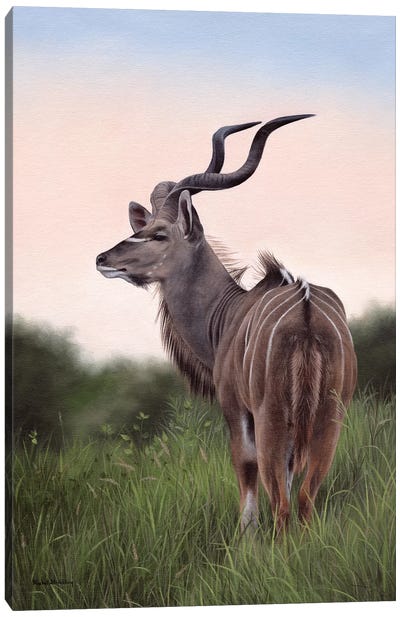 Kudu Canvas Art Print - Antelope Art