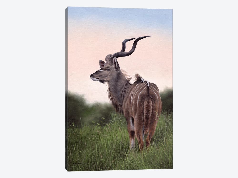 Kudu by Rachel Stribbling 1-piece Canvas Art Print