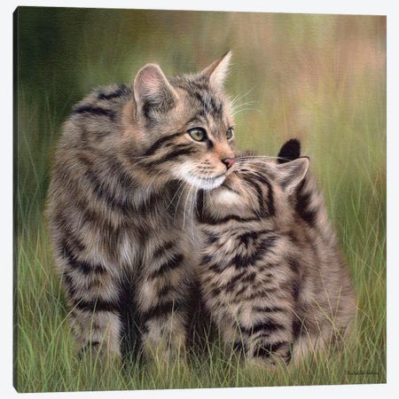 Scottish Wildcats Canvas Print #SLG27} by Rachel Stribbling Art Print