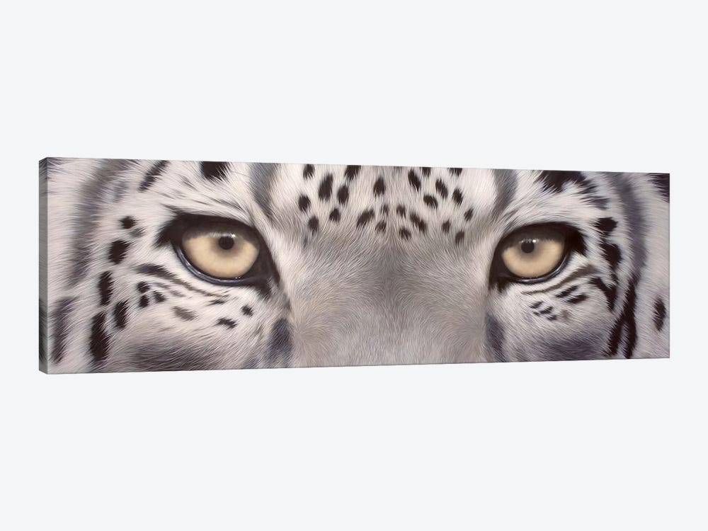 Snow Leopard Eyes Canvas Art by Rachel Stribbling | iCanvas
