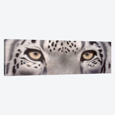 Snow Leopard Eyes Canvas Print #SLG29} by Rachel Stribbling Canvas Artwork