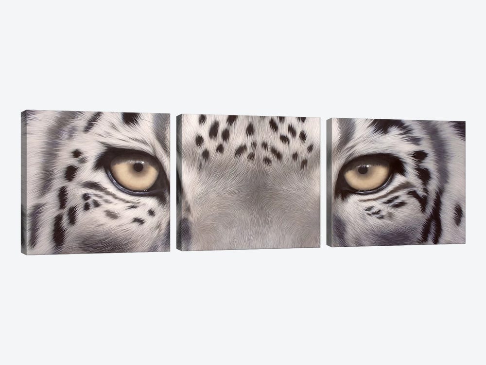 Snow Leopard Eyes 3-piece Canvas Print