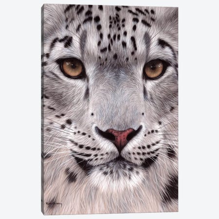 Snow Leopard Face Canvas Print #SLG30} by Rachel Stribbling Canvas Print