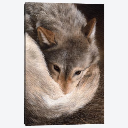 Timber Wolf Canvas Print #SLG33} by Rachel Stribbling Canvas Print