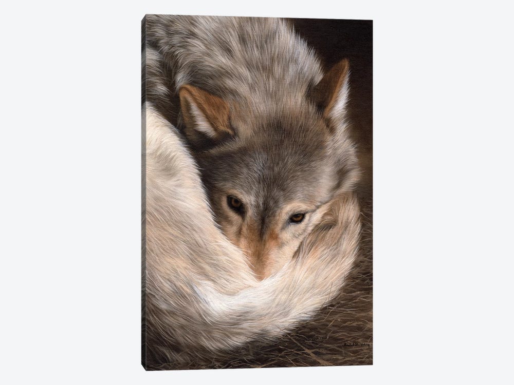 Timber Wolf by Rachel Stribbling 1-piece Canvas Wall Art