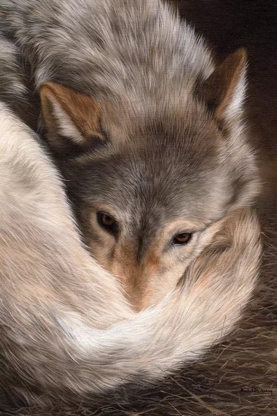 Rachel Stribbling: Timber Wolf by Rachel Stribbling