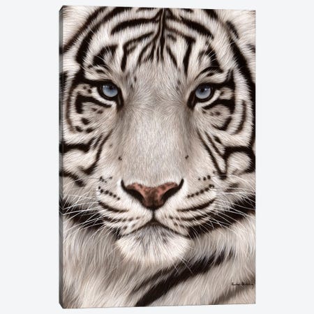White Tiger Face Canvas Print #SLG34} by Rachel Stribbling Canvas Wall Art