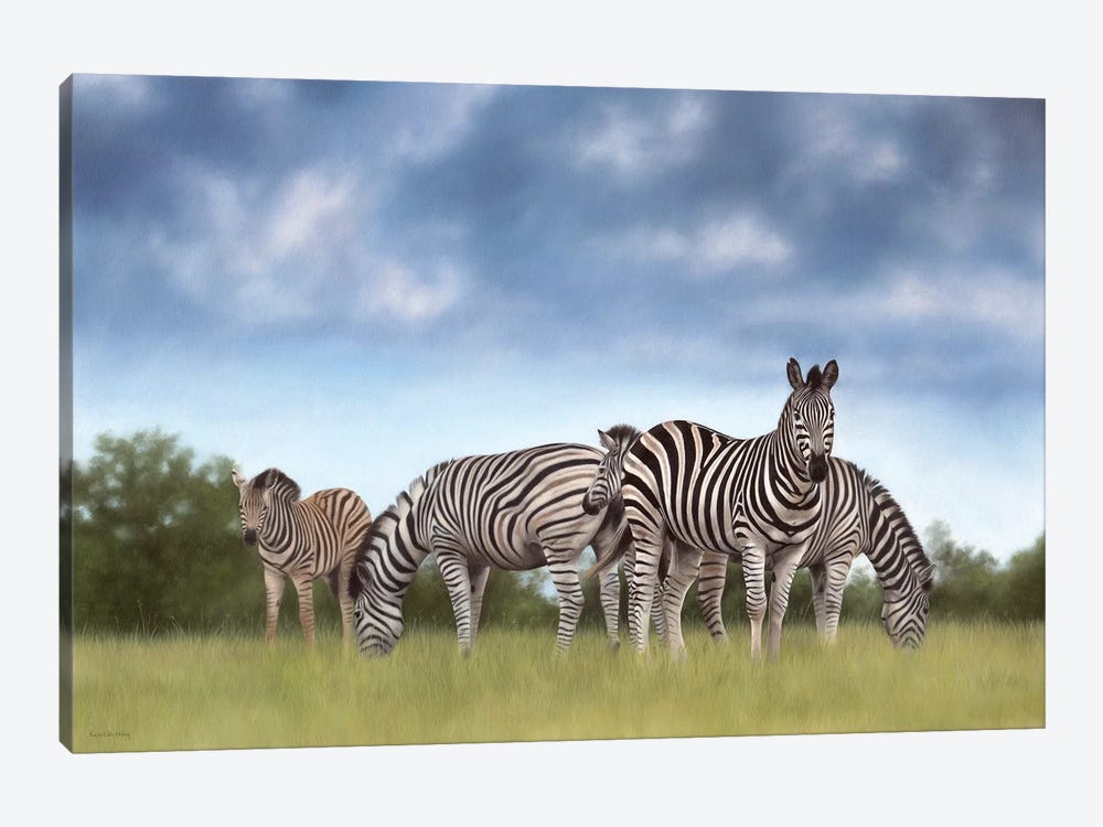 Zebras by Rachel Stribbling 1-piece Canvas Art Print
