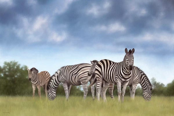 Fine Art Safari: Zebras by Rachel Stribbling