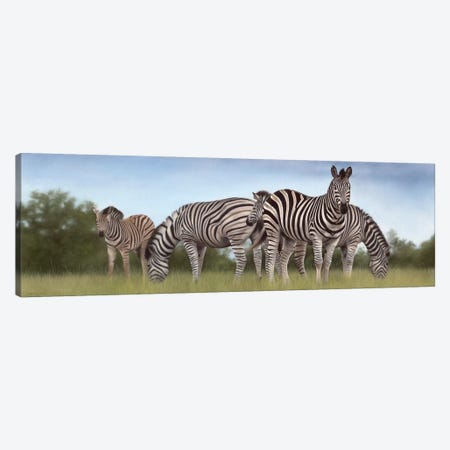 Zebras Panoramic Canvas Print #SLG37} by Rachel Stribbling Canvas Artwork