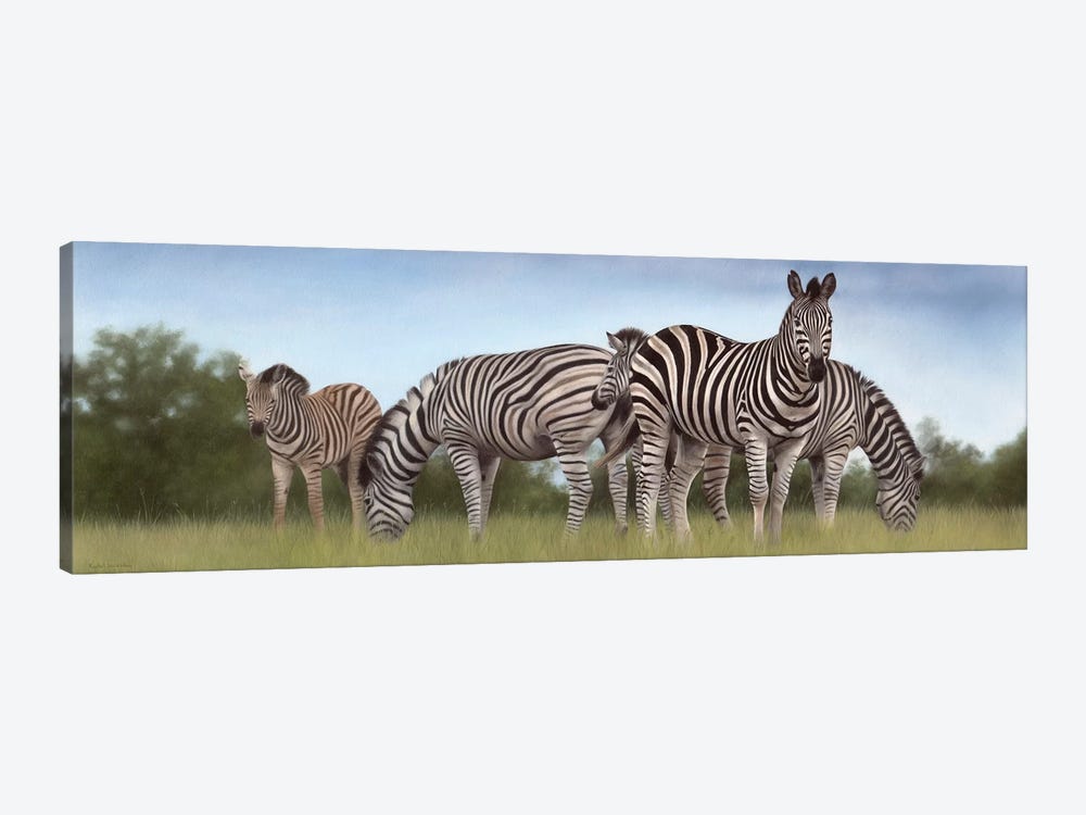 Zebras Panoramic by Rachel Stribbling 1-piece Canvas Artwork