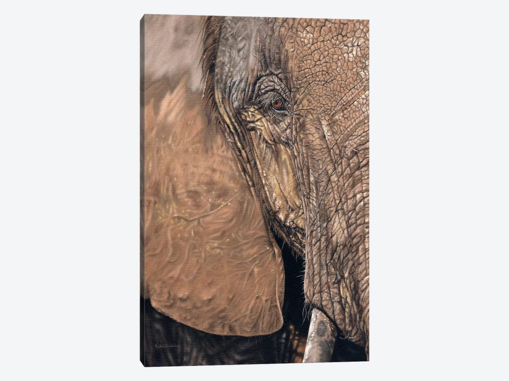 African Elephant Face by Rachel Stribbling 1-piece Canvas Art Print