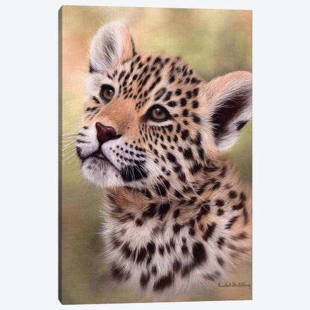 Jaguar Cub Canvas Print #SLG44} by Rachel Stribbling Canvas Print