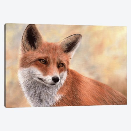Red Fox Canvas Print #SLG48} by Rachel Stribbling Canvas Art