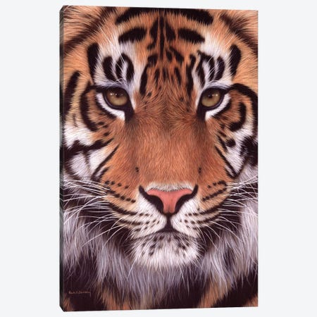 Sumatran Tiger Canvas Print #SLG50} by Rachel Stribbling Canvas Print