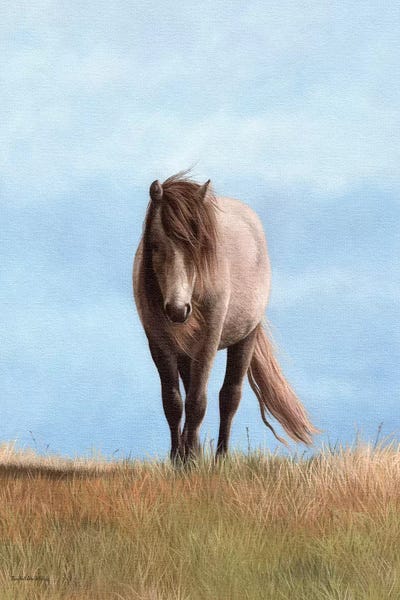 Welsh Pony by Rachel Stribbling framed wall art
