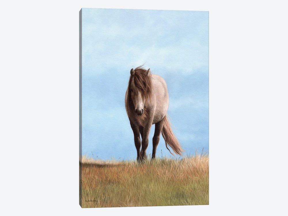 Welsh Pony by Rachel Stribbling 1-piece Canvas Art Print