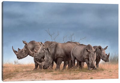 White Rhinos Canvas Art Print - Rhinoceros Art