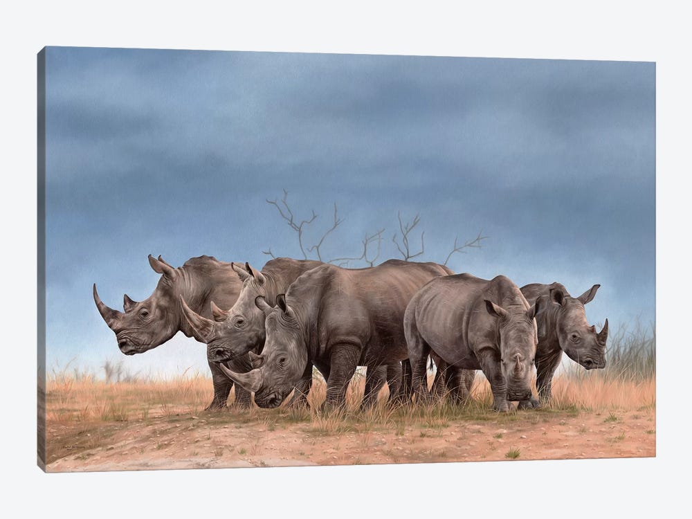 White Rhinos by Rachel Stribbling 1-piece Canvas Artwork