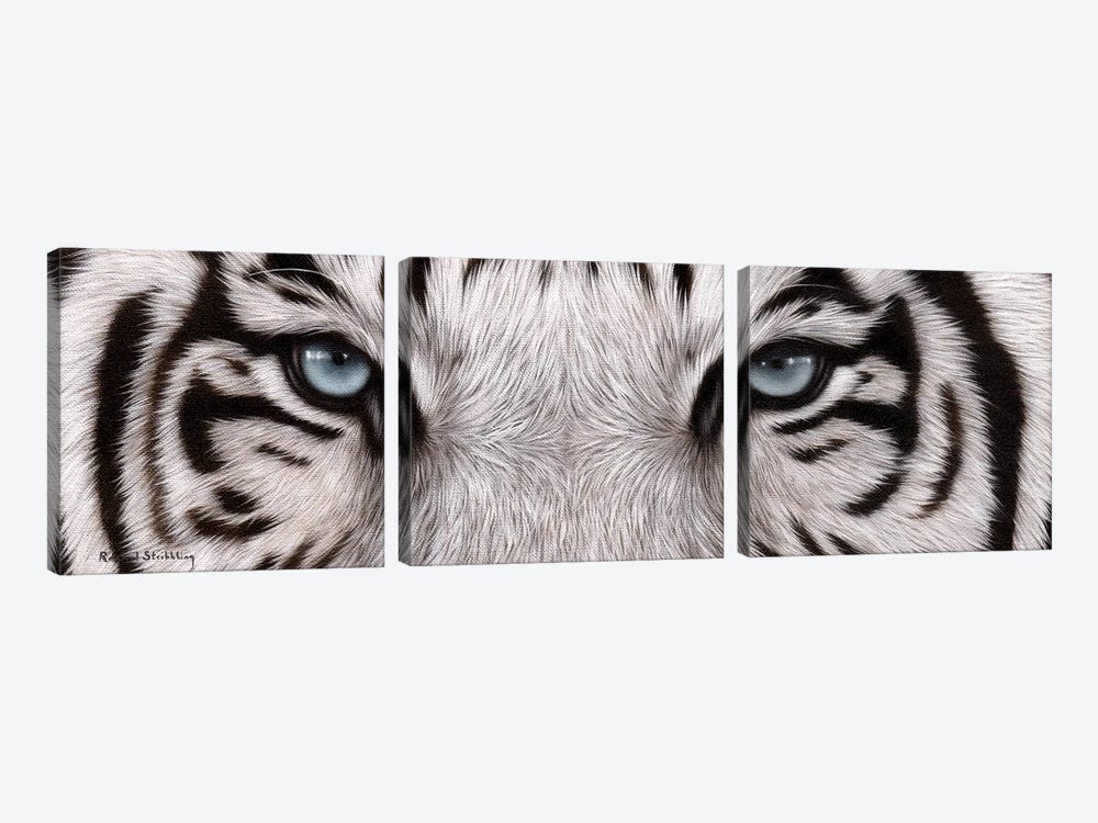 White Tiger Eyes by Rachel Stribbling 3-piece Art Print