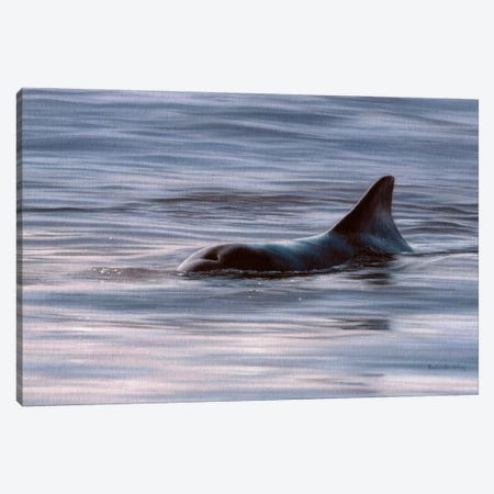 Wild Bottlenose Dolphin At Sunrise Canvas Print #SLG55} by Rachel Stribbling Canvas Artwork