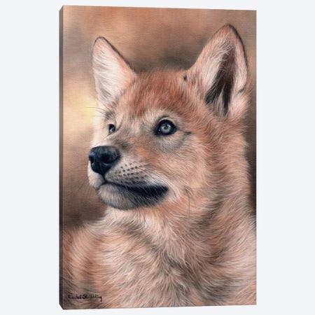 Wolf Pup Canvas Print #SLG56} by Rachel Stribbling Canvas Artwork