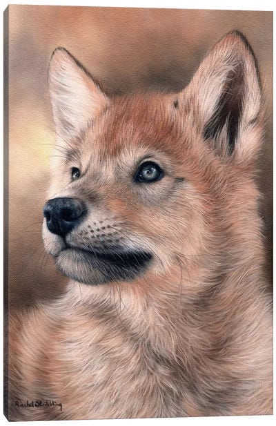 Wolf Pup Canvas Art Print