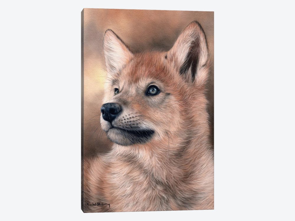 Wolf Pup by Rachel Stribbling 1-piece Canvas Art Print