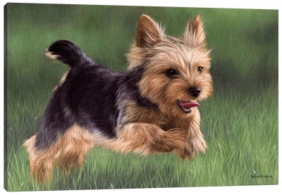 Yorkshire Terrier Canvas Art Print - Happiness Art