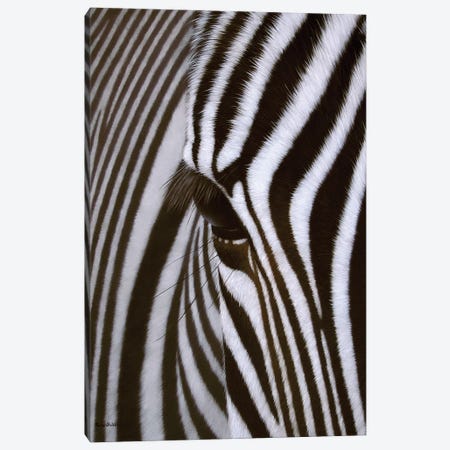 Zebra Eye Canvas Print #SLG58} by Rachel Stribbling Canvas Art Print