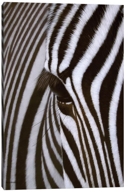 Zebra Eye Canvas Art Print - Rachel Stribbling