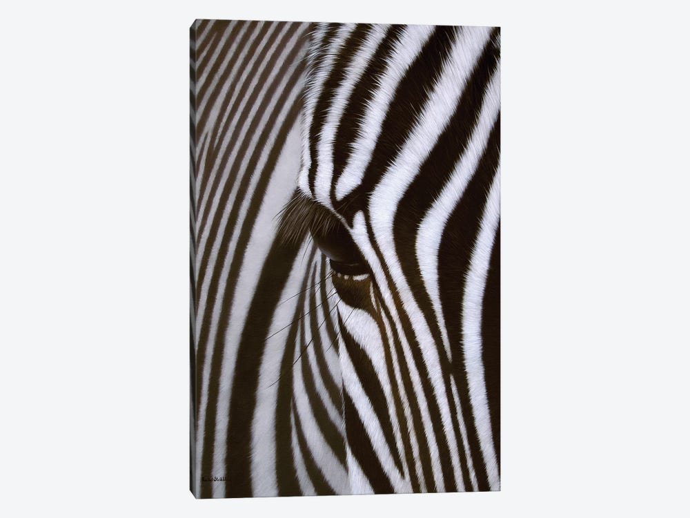 Zebra Eye by Rachel Stribbling 1-piece Canvas Art Print