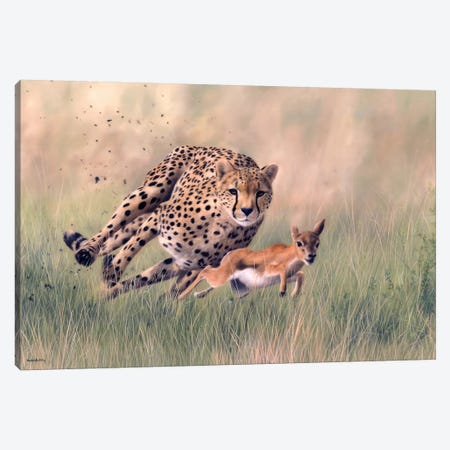 Cheetah And Baby Gazelle Canvas Print #SLG59} by Rachel Stribbling Canvas Art Print