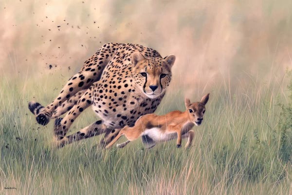 Cheetahs: Cheetah And Baby Gazelle by Rachel Stribbling