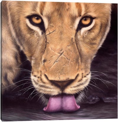 African Lioness Face Canvas Art Print - Photorealism Art