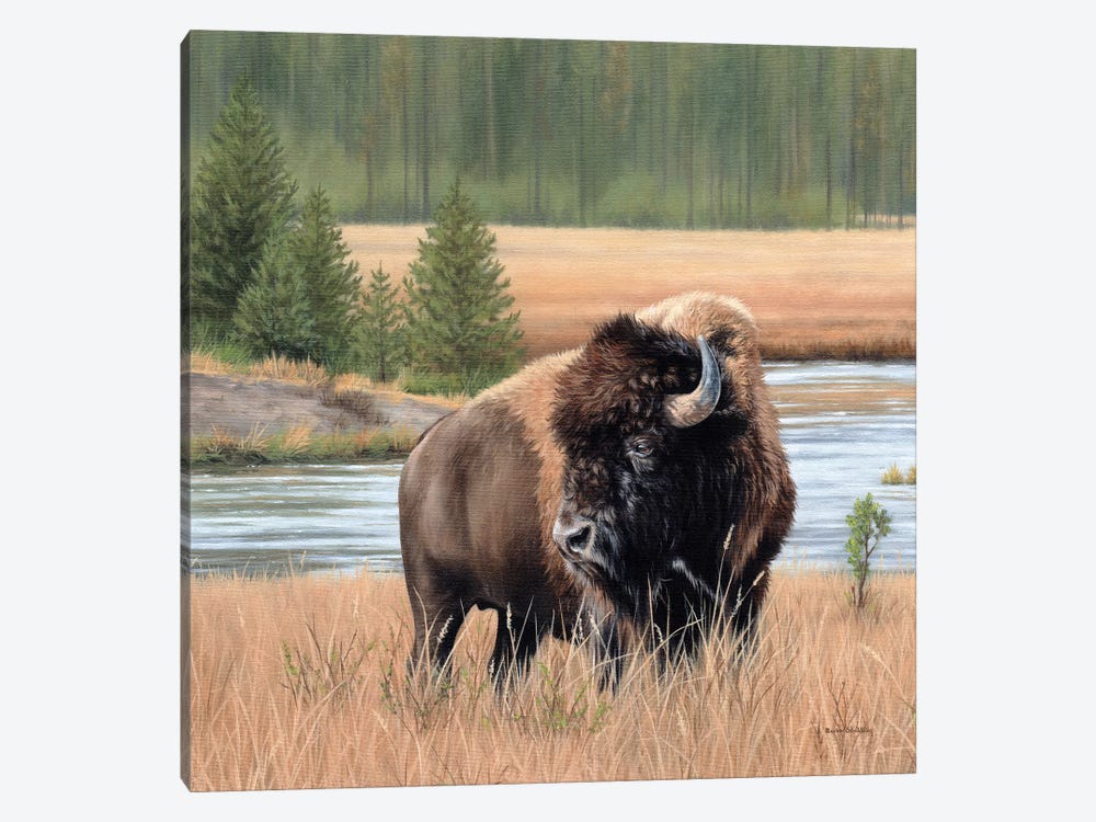 American Bison Landscape by Rachel Stribbling 1-piece Canvas Artwork
