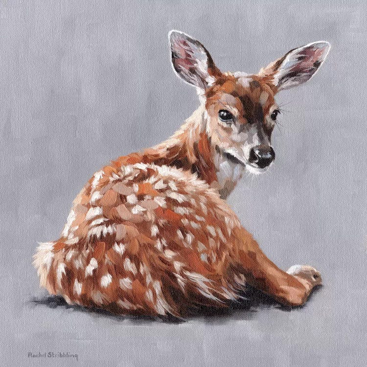 Annabelle by Rachel Stribbling wall art