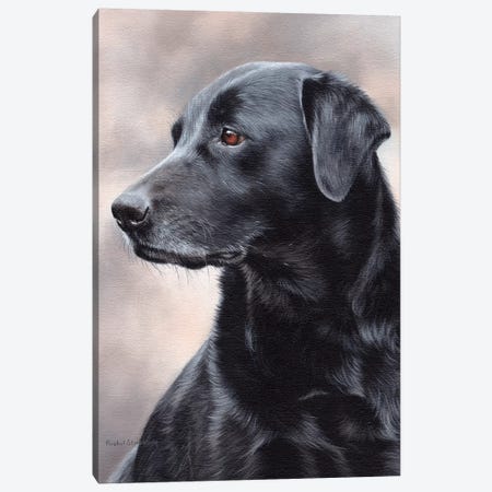 Black Labrador Canvas Print #SLG65} by Rachel Stribbling Canvas Print