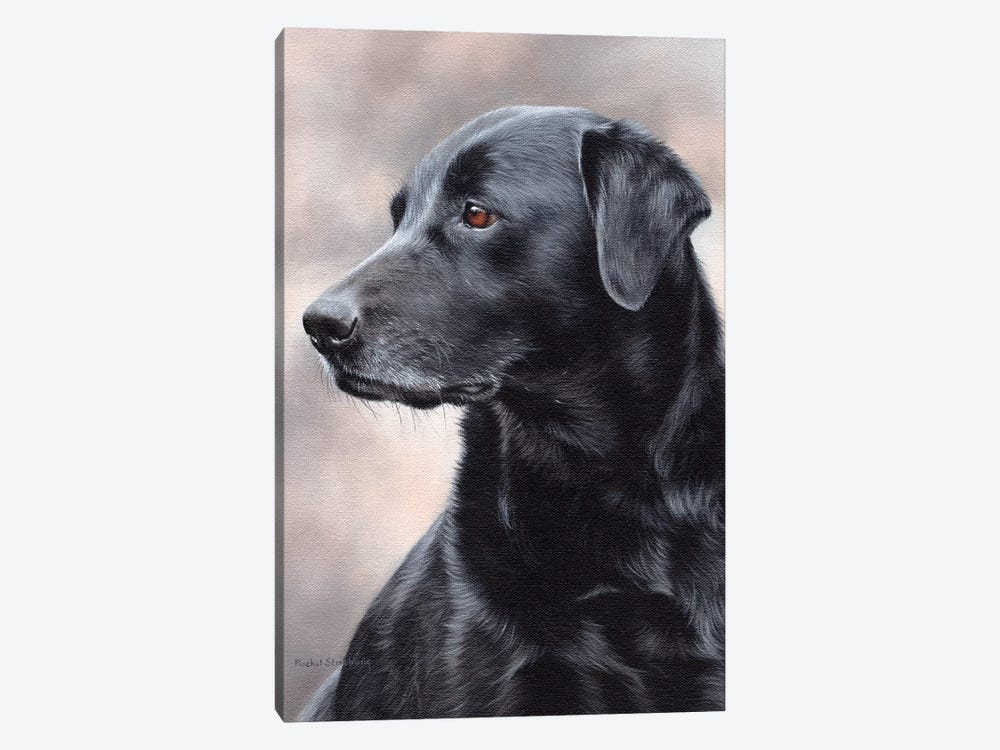 Black Labrador by Rachel Stribbling 1-piece Canvas Print