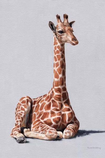 Delia by Rachel Stribbling framed wall art