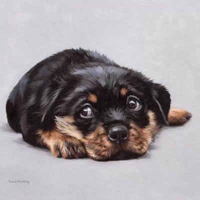 Dexter by Rachel Stribbling framed wall art