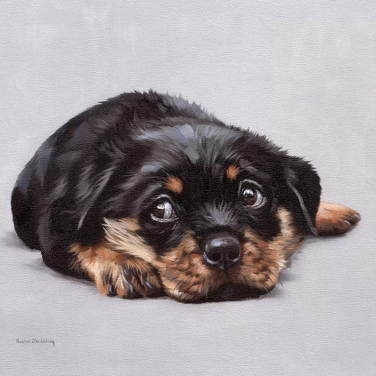 Dexter by Rachel Stribbling wall art