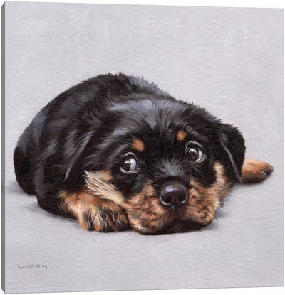 Dexter Canvas Art Print - Rottweiler Art