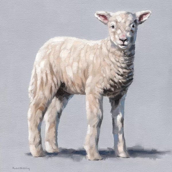 Rachel Stribbling: Duke by Rachel Stribbling