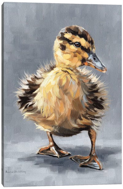 Ella Canvas Art Print - Duck Art