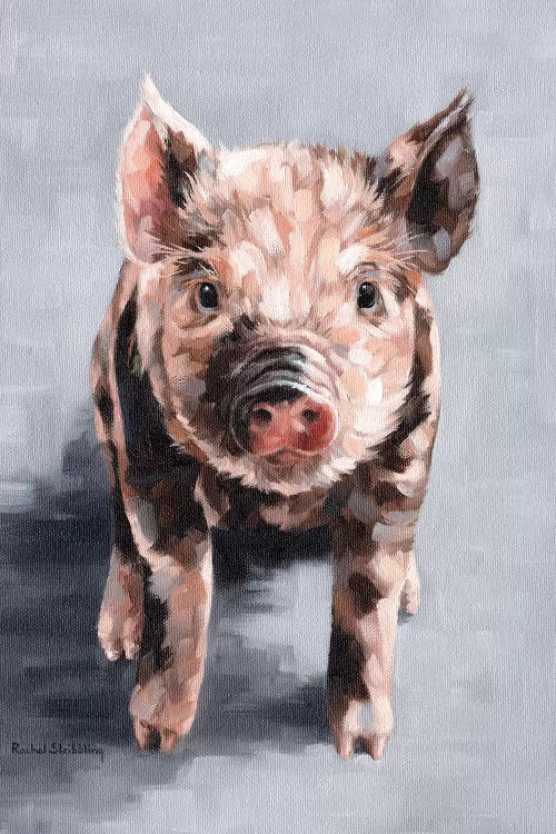 Frankie by Rachel Stribbling wall art